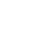 logo décenal